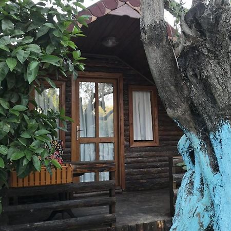 Zeytindagi Bungalow Mehmetalani Zewnętrze zdjęcie