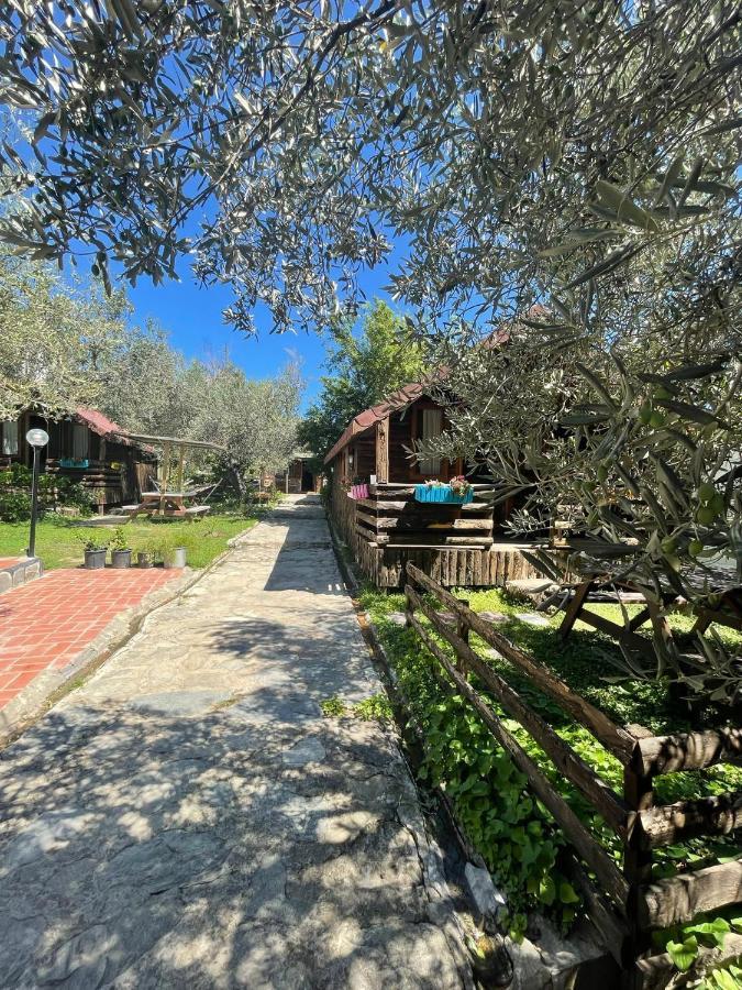 Zeytindagi Bungalow Mehmetalani Zewnętrze zdjęcie