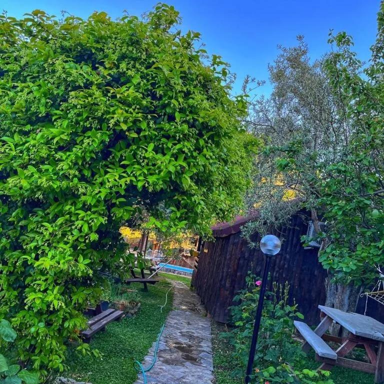 Zeytindagi Bungalow Mehmetalani Zewnętrze zdjęcie